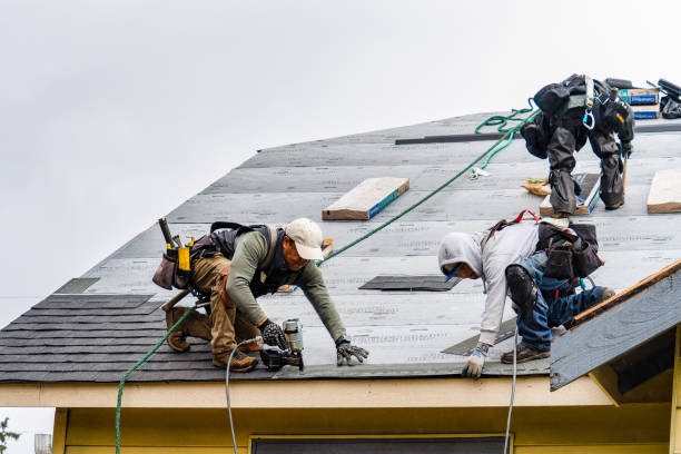 Professional Gutter Installation technician working in Forest Lake, IL